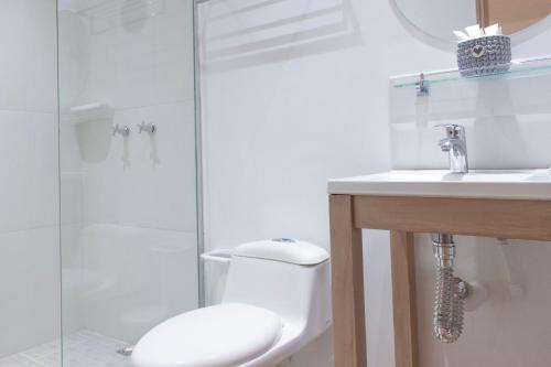 蒙波斯La Gloria Hotel by BespokeColombia的带淋浴、卫生间和盥洗盆的浴室