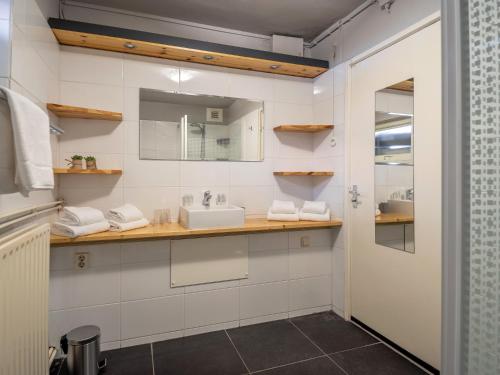 宁斯佩特Koetshuis Nunspeet的一间带水槽和镜子的浴室