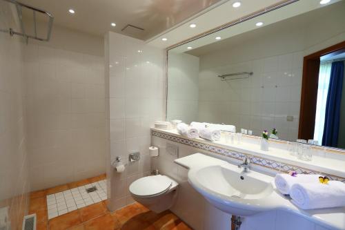 DeinsteStade Land Golf Hotel的一间带水槽、卫生间和镜子的浴室