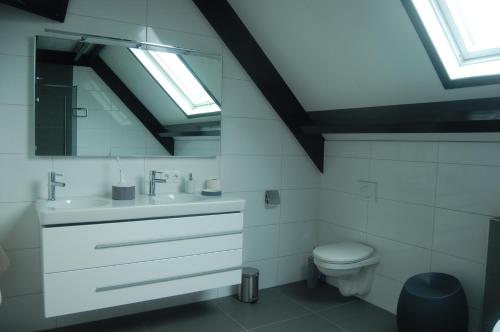 WintelreToenders的浴室配有卫生间、水槽和天窗。