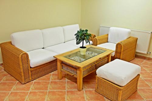 鲍洛通塞派兹德木兰酒店的客厅配有沙发、两把椅子和一张桌子