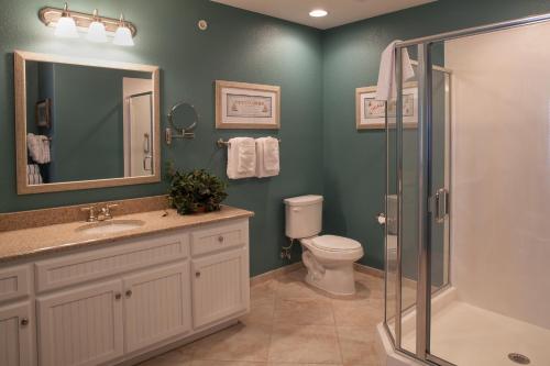 布兰森斯宾纳克尔帕利斯维尤度假酒店的浴室配有卫生间、盥洗盆和淋浴。