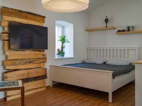 德累斯顿Domizil am Kaitzbach的一间卧室配有一张床和一台平面电视