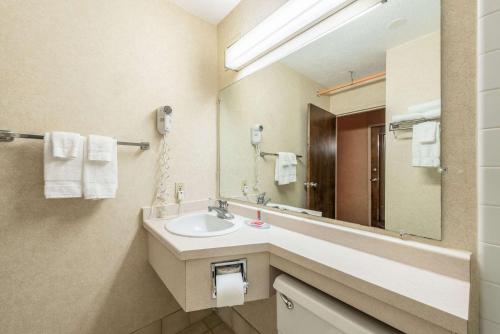 布雷纳德Econo Lodge的一间带水槽和镜子的浴室
