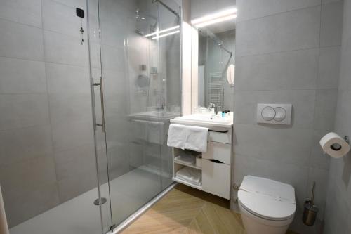 巴什卡沃达米兰尼奇公寓旅社的带淋浴、卫生间和盥洗盆的浴室
