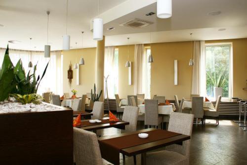 比尔森Hotel Lions Plzen的餐厅内带桌椅的用餐室