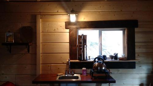 McCarthyBlackburn Cabins - McCarthy, Alaska的厨房设有水槽和窗户。