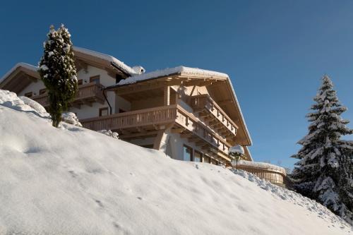 拉辛Residence Garni Melcherhof的一座在雪 ⁇ 的山顶上,有一棵树的建筑