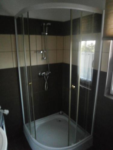 利波特Lipót-Haus的浴室里设有玻璃门淋浴