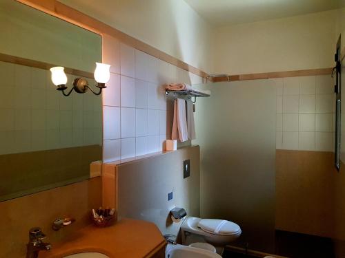 布罗马纳普林坦尼亚宫殿酒店的一间带卫生间、水槽和镜子的浴室