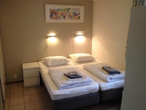 洛赫姆Vakantiehuis Lochem的酒店客房,配有两张带毛巾的床