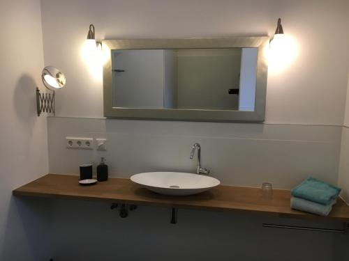 heinkenszandB&B Boerderij De Vaete - Duurzaam genieten in de zak van Zuid-Beveland的浴室设有白色水槽和镜子