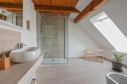 佐尔尼耶戈迪Apartment Krnicar的一间带水槽和玻璃淋浴的浴室