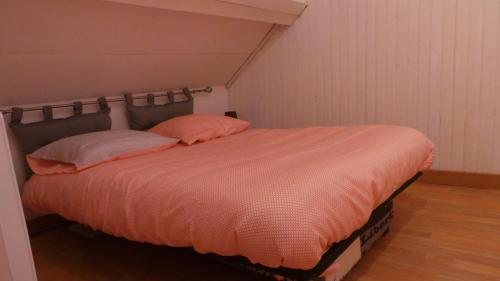 Pocé-sur-Cissemaison troglodyte的一张带两个粉红色枕头的床