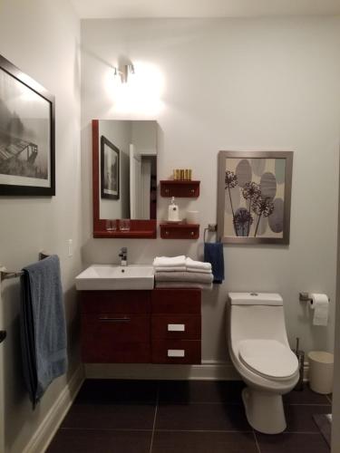 布罗蒙尚普兰街102号公寓的一间带卫生间、水槽和镜子的浴室