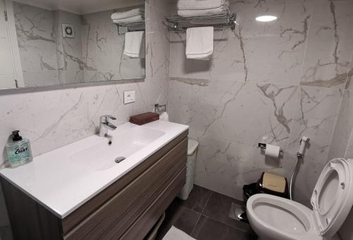 贝鲁特West House Apartments-Mar Mikhael的一间带水槽、卫生间和镜子的浴室