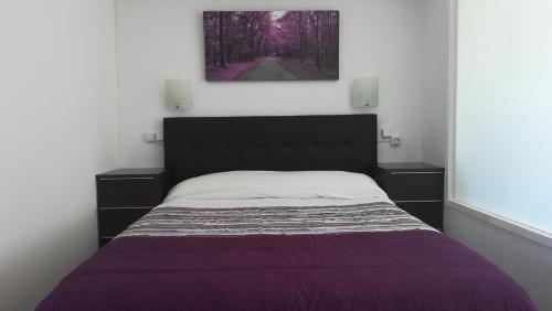 贝纳尔马德纳Estudio playa Benalmadena的一间卧室配有一张带紫色毯子的床