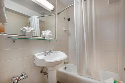 哈特福德The Capitol Hotel, Ascend Hotel Collection的白色的浴室设有水槽和淋浴。