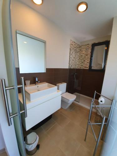 比利亚马丁Eva's Place Villamartin VM052的一间带水槽、卫生间和镜子的浴室