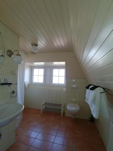 德科赫海特古登博尔杰酒店的阁楼浴室设有水槽和卫生间