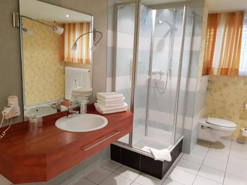 Hotel "Zum Moseltal"的一间浴室