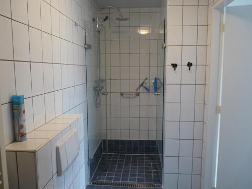 Ter ApelBuitengoed Het Achterdiep的浴室设有蓝色瓷砖淋浴。