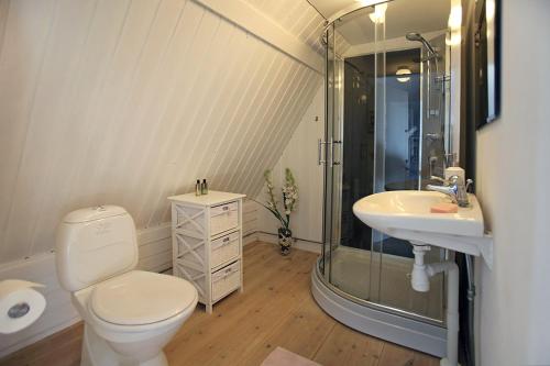 LöderupWingårdhs B&B Österlen的浴室配有卫生间、淋浴和盥洗盆。