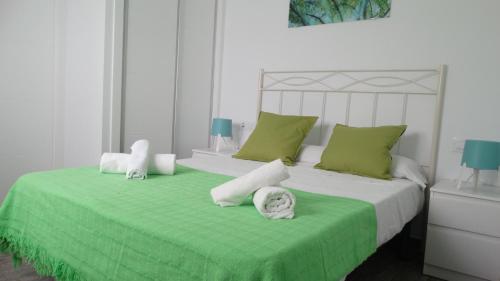 科尼尔-德拉弗龙特拉apartamento rio salado的一间卧室配有两张绿色和白色的床