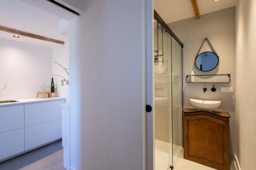 CruquiusStudio Haarlemenmeer的一间带水槽、卫生间和镜子的浴室