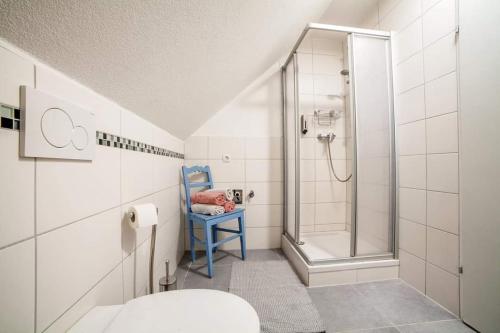 伊姆斯特Ferienwohnung bei Cooldog的带淋浴、卫生间和蓝椅的浴室