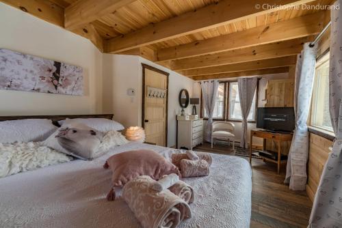 拉马巴耶Le Ross - Les Chalets Spa Canada的一间卧室配有一张床,里面放着两只狗