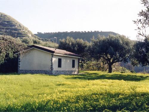 DrapiaHoliday Home Lulablu by Interhome的草场上的白色小房子