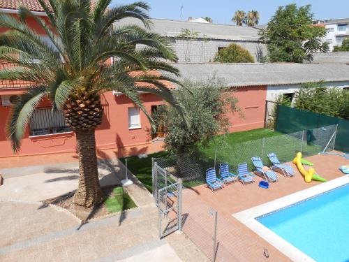 梅里达多莫斯阿垮旅游公寓的游泳池旁棕榈树的顶部景色