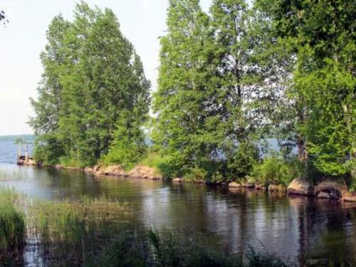 伊萨尔米克罗考罗度假屋的一条有树的河