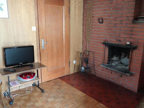 英格堡斯坦纳彻公寓的一间带砖砌壁炉和电视的客厅
