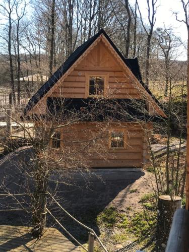 SteningeDartmoor Cottage的小木屋,设有黑色屋顶