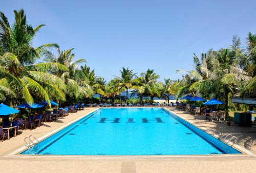 马累瑚湖尔岛酒店的一个带椅子的游泳池,棕榈树