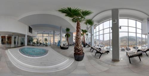 希维拉杜夫-兹德鲁伊碧艾丽喀卡曼药疗Spa酒店的大堂设有游泳池和棕榈树,位于大楼内