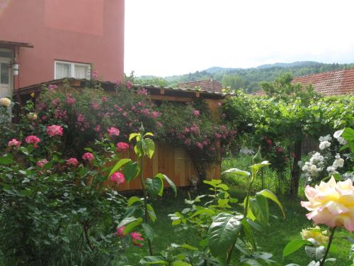 克利默内什蒂Casa Fabrizio的一座花园,在房子前种有鲜花