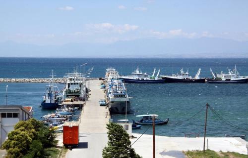 海景或在公寓看到的海景