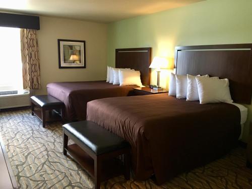 荷马Aspen Suites Hotel Homer的酒店客房设有两张床和窗户。