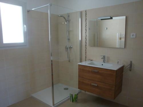 卡尔热斯盖思徒尼亚公寓的带淋浴、盥洗盆和镜子的浴室