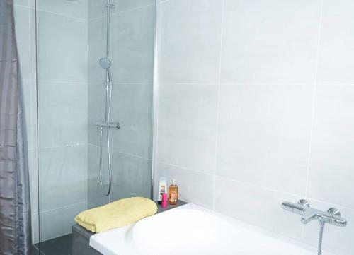 雷克雅未克Sogavegur 103的带淋浴、盥洗盆和淋浴的浴室