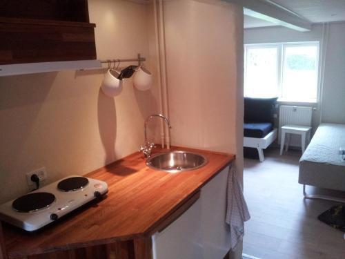 灵克宾Lilleledgaard Apartment的厨房柜台设有水槽和水槽