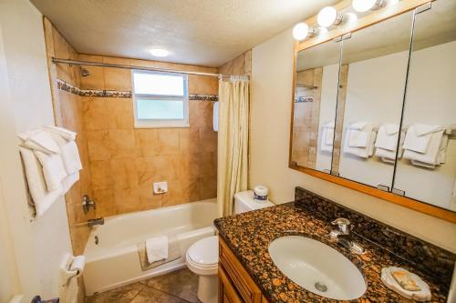 圣徒皮特海滩珊瑚礁度假酒店，VRI度假村的一间带水槽、卫生间和镜子的浴室
