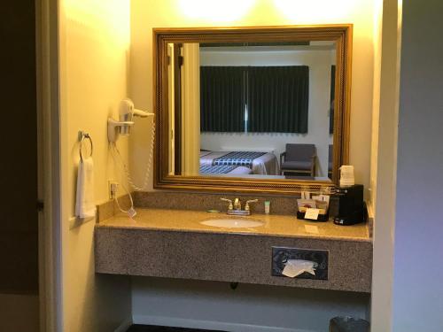蒙蒂塞洛峡谷汽车旅馆的一间带水槽和镜子的浴室以及一张床