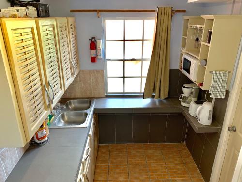 Blow HoleCool Premier Apts. - Airport/SGU的一个带水槽和窗户的小厨房