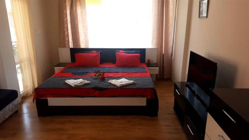 阳光海滩Family Hotel Solar Central的一间卧室配有一张带红色枕头的床和一扇窗户