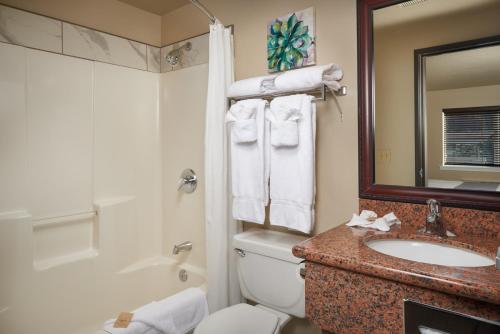 加里波第The Hotel Garibaldi的一间带水槽、卫生间和镜子的浴室