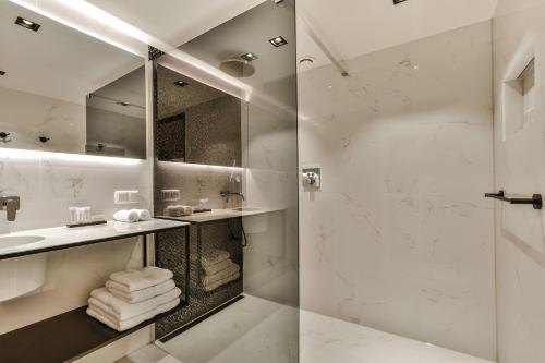 阿姆斯特丹Luxury Canal Suite De Heren的带淋浴和盥洗盆的浴室